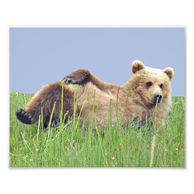 Foto Papel fotográfico profesional de Kodak (satinado)  (Frente)