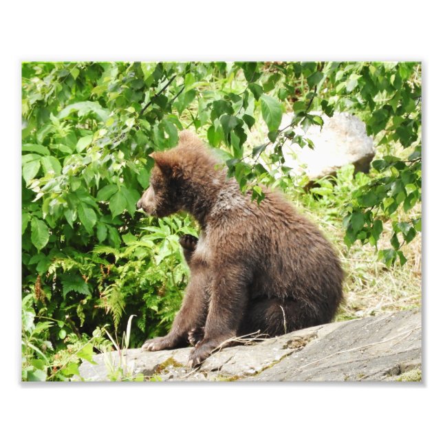 Foto Papel fotográfico profesional de Kodak (satinado)  (Frente)