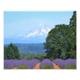 Foto Papel fotográfico profesional de Kodak (satinado) 