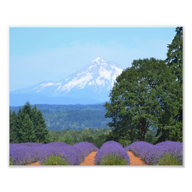 Foto Papel fotográfico profesional de Kodak (satinado)  (Frente)