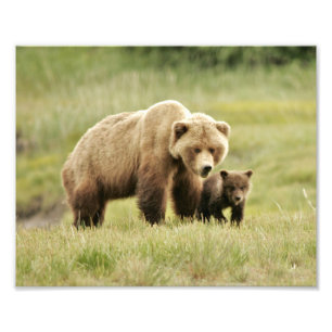 Foto Papel fotográfico profesional de Kodak (satinado) 