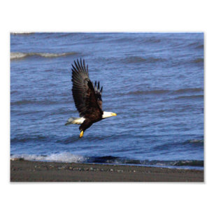 Foto Papel fotográfico profesional de Kodak (satinado) 