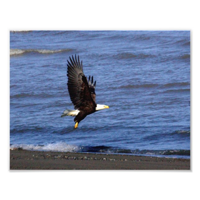 Foto Papel fotográfico profesional de Kodak (satinado)  (Frente)