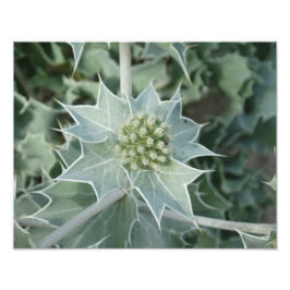 Foto Papel fotográfico profesional de verano en el mar 