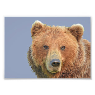 Foto Papel fotográfico profesional Kodak 7x5 (satinado)