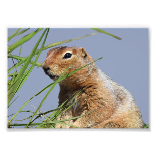 Foto Papel fotográfico profesional Kodak 7x5 (satinado)