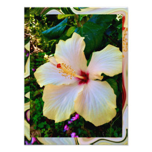 Foto Papel fotográfico profesional Kodak (Satin) Enlarg