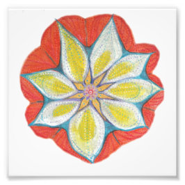 Foto Papel fotográfico profesional Mandala Kodak (satin