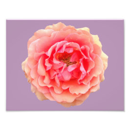 Foto Papel fotográfico profesional Pinky Kodak (satinad