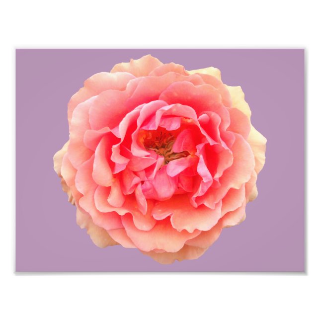 Foto Papel fotográfico profesional Pinky Kodak (satinad (Frente)