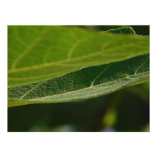 Foto Papel fotográfico satinado con imagen impresa de u