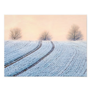 Foto Paperprint Hoarfrost Paperprint paisajes de invier