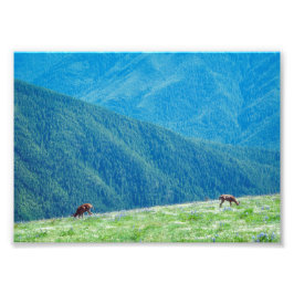 Foto Paquetes por las montañas