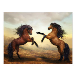 Foto par de caballos salvajes