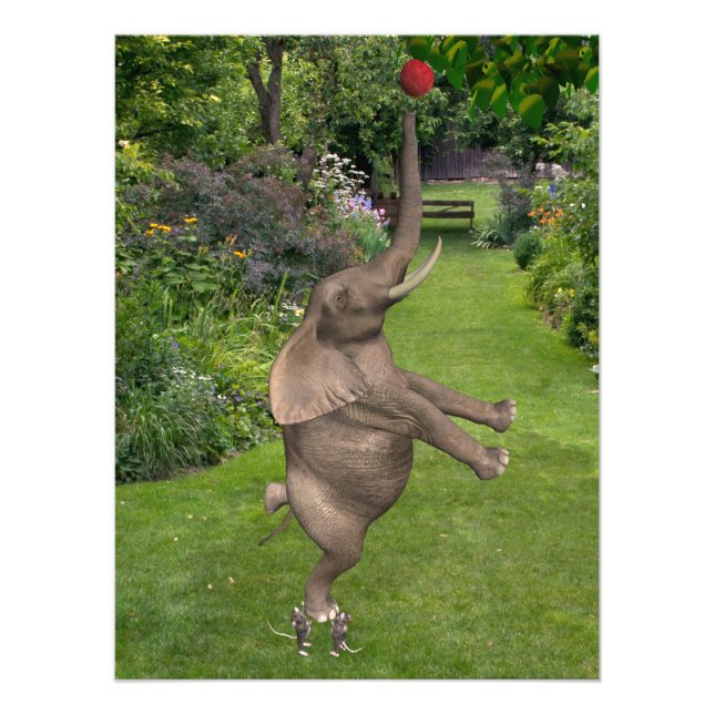 Foto Para eso están los amigos (Frente)