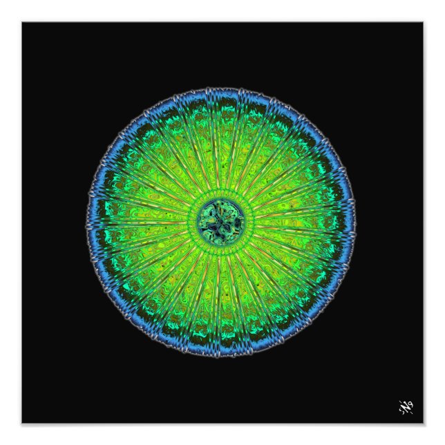 Foto Paraguas de la medusa (Frente)