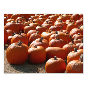 Foto Parche de calabaza Fotografía de la cosecha otoñal