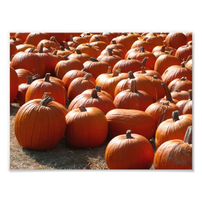 Foto Parche de calabaza Fotografía de la cosecha otoñal (Frente)