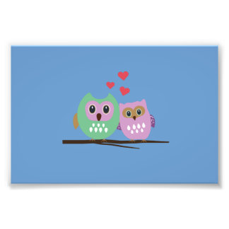 Foto Pareja de búho