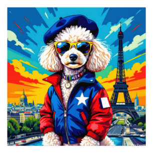 FOTO PARÍS EN EL POODLE DEL TIEMPO DE PRIMAVERA