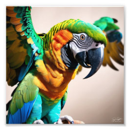Foto Paro