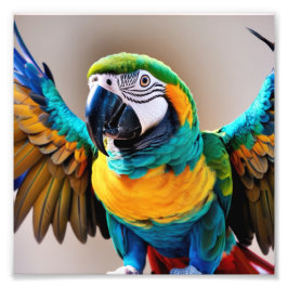 Foto Paro