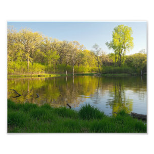 Foto Parque de los bosques frondosos y de estanques