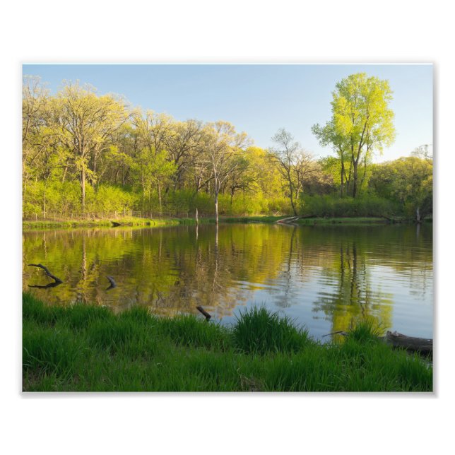 Foto Parque de los bosques frondosos y de estanques (Frente)