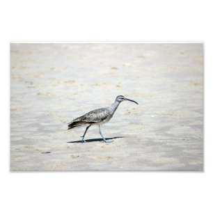 Foto Parque estatal Crystal Cove