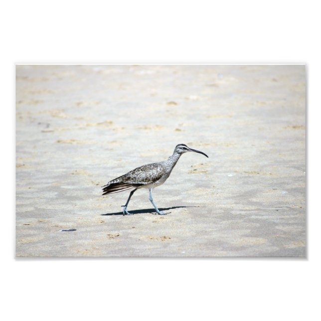 Foto Parque estatal Crystal Cove (Frente)