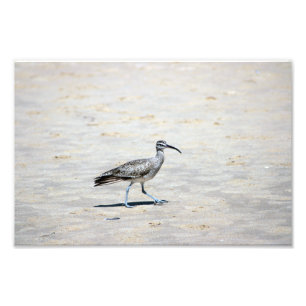 Foto Parque estatal Crystal Cove