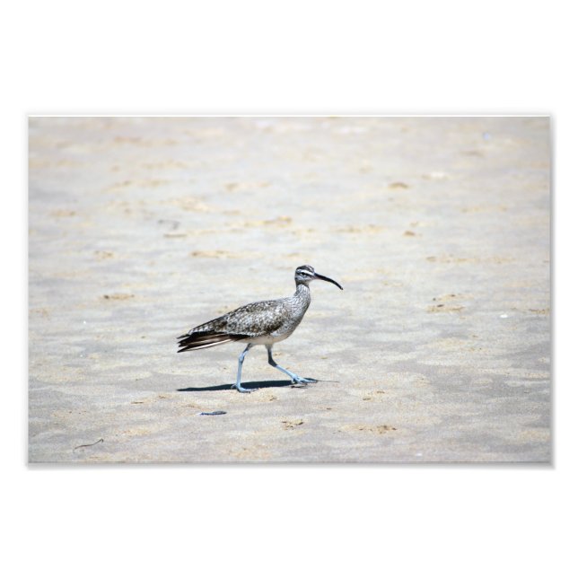 Foto Parque estatal Crystal Cove (Frente)