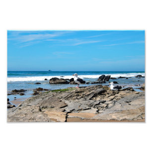 Foto Parque estatal Crystal Cove