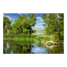 Foto Parque Estatal de los Lagos de Oakwood