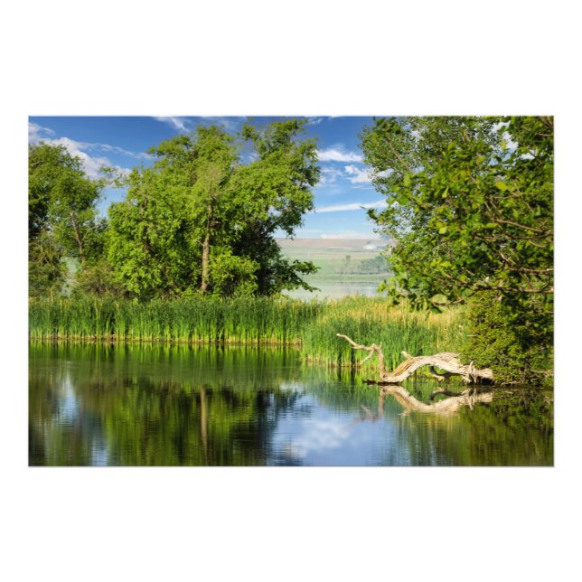 Foto Parque Estatal de los Lagos de Oakwood (Frente)