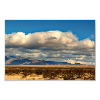 Foto Parque estatal Desierto de Anza Borrego