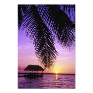 Foto Parque Estatal John Pennekamp, Florida Keys, Clave