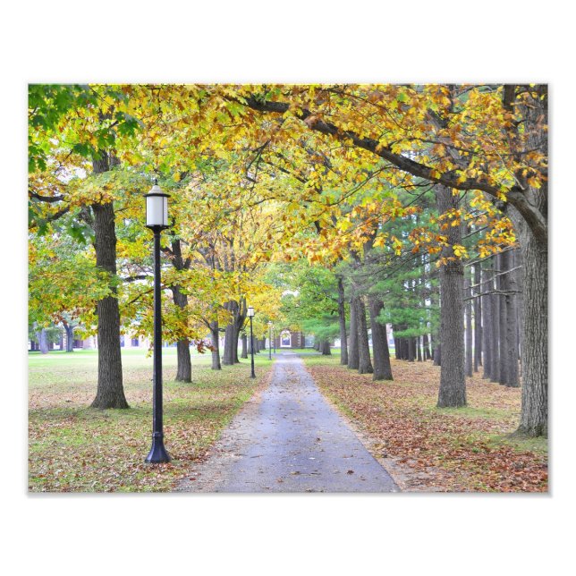 Foto Parque estatal Saratoga Spa (Frente)