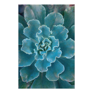 Foto Parque Golden Gate de San Francisco Californias y