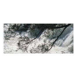 Foto Parque High Falls, Georgia