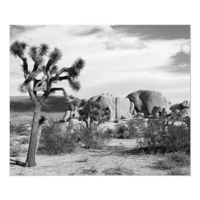 Foto Parque nacional Árbol de B&W Joshua (Frente)