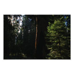 Foto Parque nacional del Cañón Kings