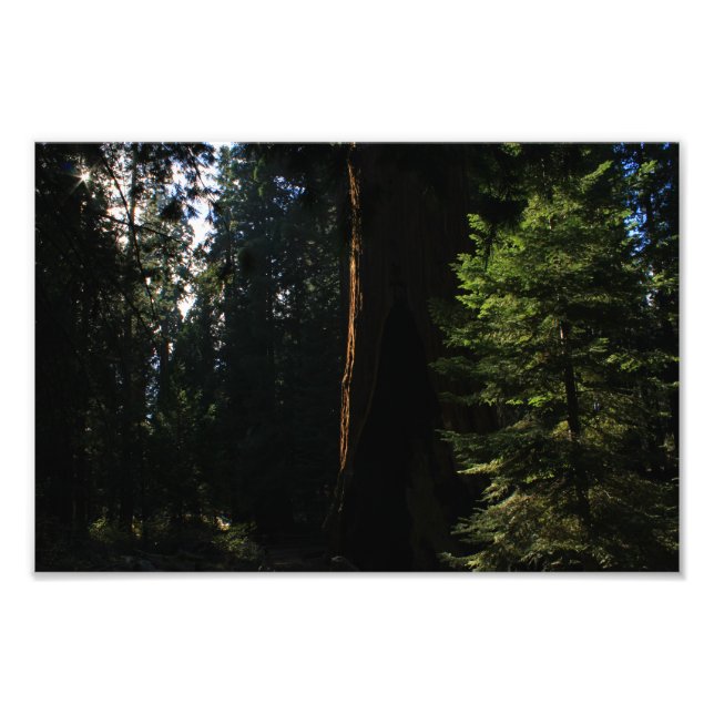 Foto Parque nacional del Cañón Kings (Frente)