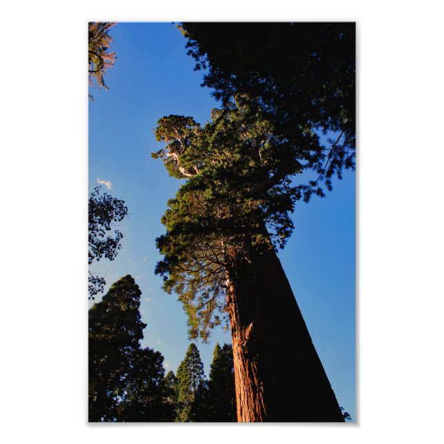 Foto Parque nacional del Cañón Kings (Frente)