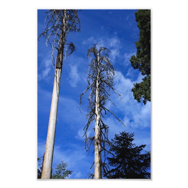 Foto Parque nacional del Cañón Kings (Frente)