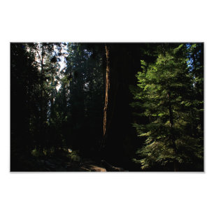 Foto Parque nacional del Cañón Kings