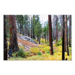Foto Parque nacional del Cañón Kings