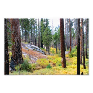 Foto Parque nacional del Cañón Kings