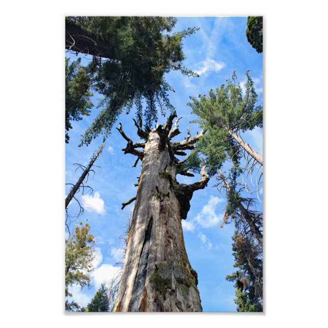 Foto Parque nacional del Cañón Kings (Frente)
