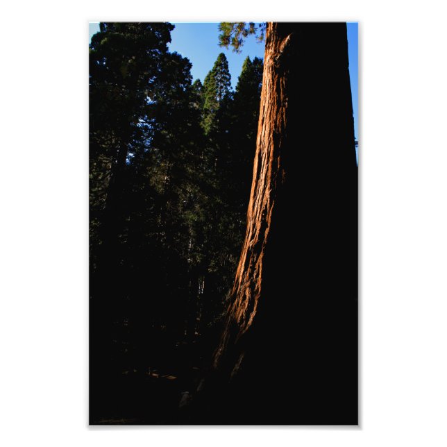 Foto Parque nacional del Cañón Kings (Frente)